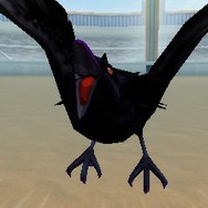 グルメモンスターを仲間にして闘技場で勝ち抜け『トリコ グルメモンスターズ!』は育成RPG