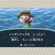 『とびだせ どうぶつの森』島ではローカル通信のほかインターネット通信にも対応