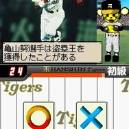 阪神タイガースDS