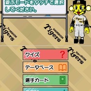 阪神タイガースDS