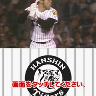 阪神タイガースDS