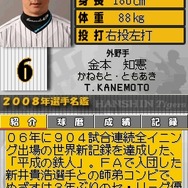 阪神タイガースDS