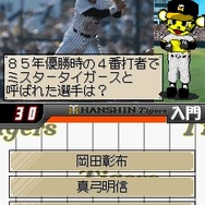 阪神タイガースDS