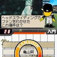 阪神タイガースDS