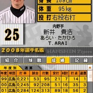 阪神タイガースDS