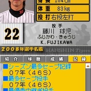 阪神タイガースDS