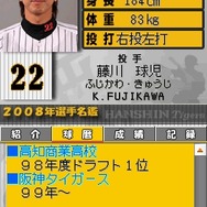 阪神タイガースDS