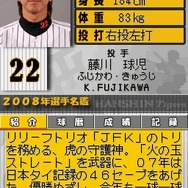 阪神タイガースDS