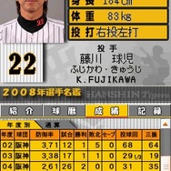 阪神タイガースDS