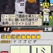 阪神タイガースDS