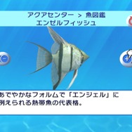 ブルーオアシス〜魚の癒し空間〜