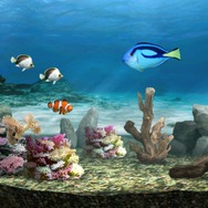 ブルーオアシス〜魚の癒し空間〜