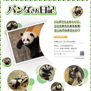 ゆっくり癒され生活?DS『パンダさん日記』が発売決定