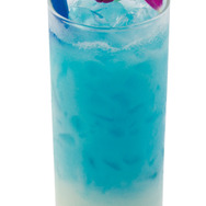 雪賊の巫女 ~ティキ~