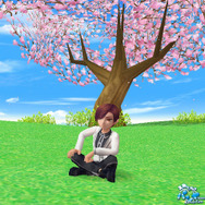 春のアリンは、赤と黒の華麗なワンピース『パンヤ』新衣装追加