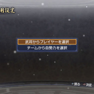 チーム使用設定