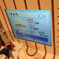 ひらかたパーク