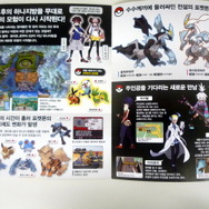 韓国版のチラシ。日本版と比べ若干の違いがある