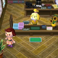 役場の中。観葉植物や盆栽を比べるとわかりやすいです