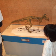 ひらかたパーク