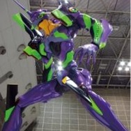 (c)カラー