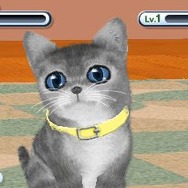 かわいい子猫３Ｄ