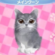 かわいい子猫３Ｄ