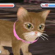 かわいい子猫３Ｄ