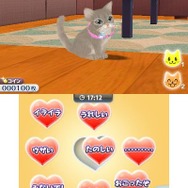 かわいい子猫３Ｄ