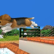 村で動物たちとの生活を満喫『オシャレでかわいい 子犬と遊ぼ！-海編-』12月20日発売