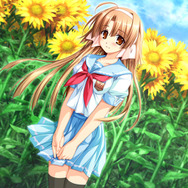 「私生活を許されない義務」を課せられている雑賀みぃな