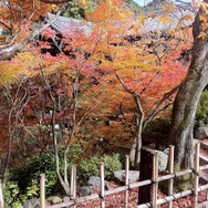 【日々気まぐレポ】第6回 ニンテンドー3DSカメラで立体紅葉写真 in 京都