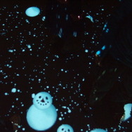 ひらかたパーク