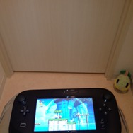 隅っこに鎮座する「ナエトル」　任天堂信者っぷりをアピール