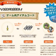 Aコースはゲーム内アイテムがもれなくもらえます