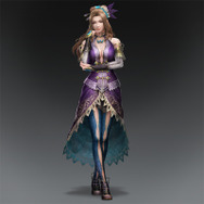 三國無双　戦国無双　バッジ　王元姫　大喬　張春華　井伊直虎　かぐや　試遊 三國無双 戦国無双 バッジ 王元姫 大喬 張春華 井伊直虎 かぐや