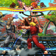 平八の金剛壁の構え