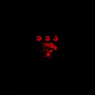 ニコちゃんバトル