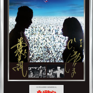 ウルトラセブン特別版－ダン＆アンヌ－