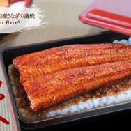 「[SoftBank/au iPhone 5専用]食品サンプルカバー(国産うなぎの蒲焼)」