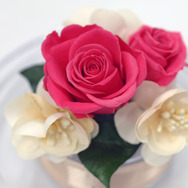 KONAMI、『ときめきメモリアル Girl's Side 3rd Story』バレンタインチョコをプレゼントできるサービス実施