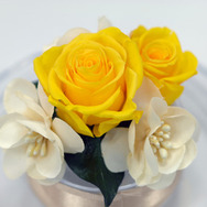 KONAMI、『ときめきメモリアル Girl's Side 3rd Story』バレンタインチョコをプレゼントできるサービス実施