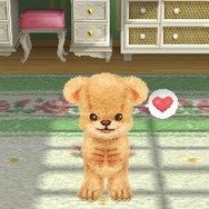 3DS『クマ・トモ』クマと友情を深めるゲーム ― プレイヤーのことを覚えて会話が広がる