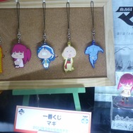 2013年3月展開予定