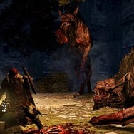 『ドラゴンズドグマ：ダークアリズン』新たな魔物と「死体沸き」の存在とは