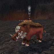 エモーション＆ギルドコスチュームが世界初公開！『マビノギ3周年記念オフラインイベント』