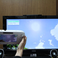 真上だって見れちゃいます。ハワイの太陽は眩しい!
