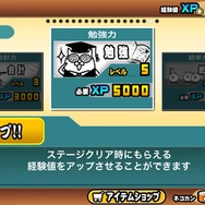 まずは経験値アップを上げたいところ。