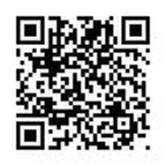 ラブプラスプロダクション新作『風雲!なでしこコレクション』発表、GREEでサービス開始