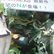 【JAEPO 2013】夏に登場『ポケモン』プライズ向け新アイテムをまとめてチェック ― I LOVE MARINEシリーズなど